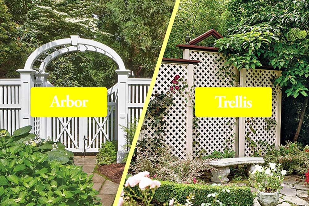 Arbor vs Trellis: What’s the difference?