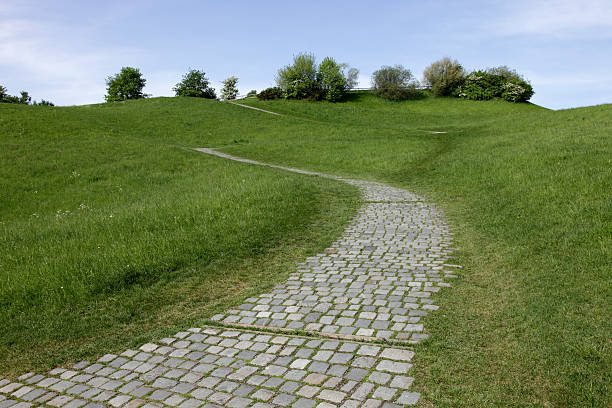 cobblestone pathway