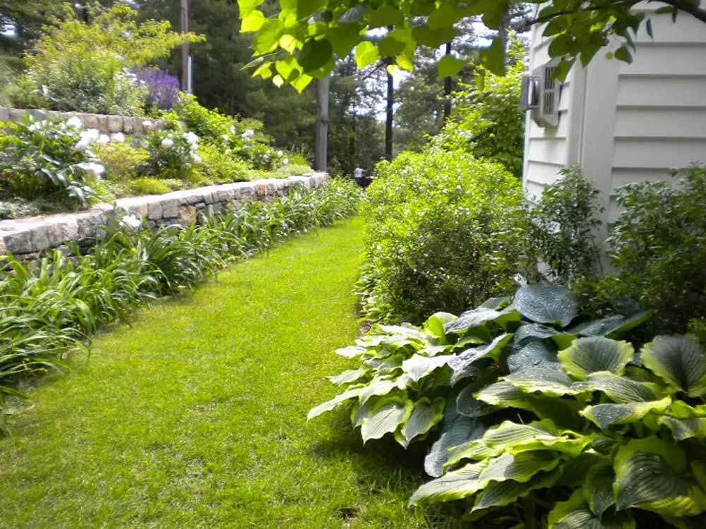 How to Guide: Create a Grass path