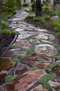 Natural stone path filled with moss between the gaps