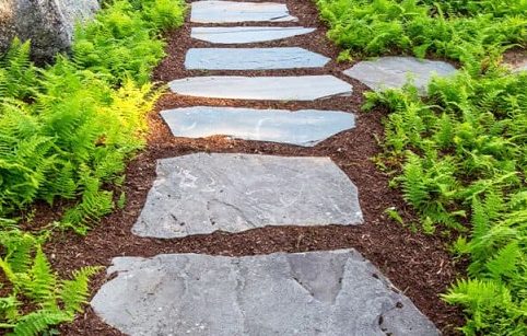 Stepping stone path
